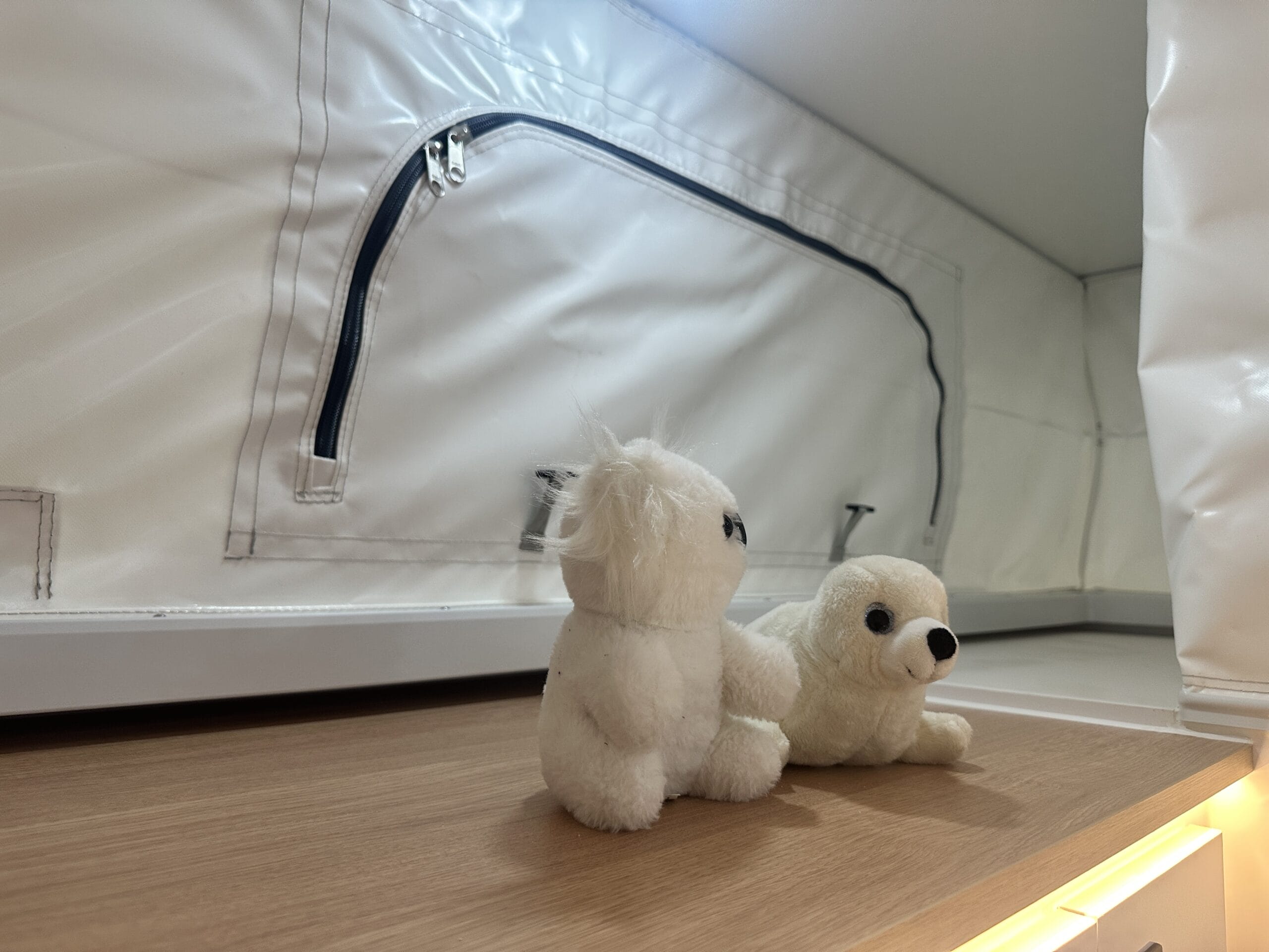 Interior of Fantasy Caravan FD-13A